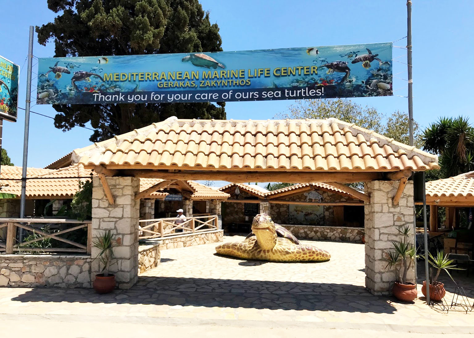 Visit Zante Mediterranean Marine Life Center