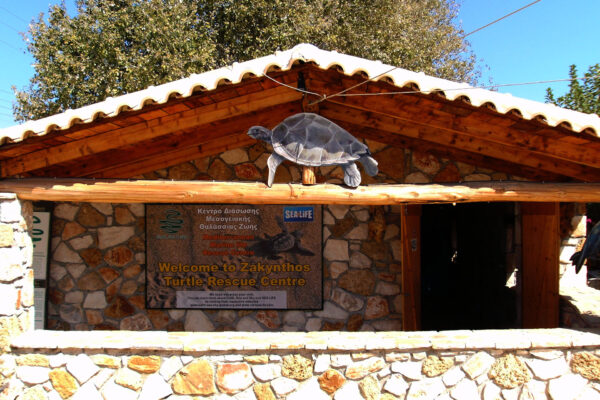 Visit Zakynthos Turtle Rescue Center